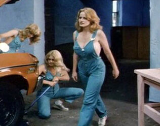 Garage Chicks (1981)